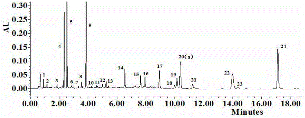 Danhong injection UPLC fingerprint detection method