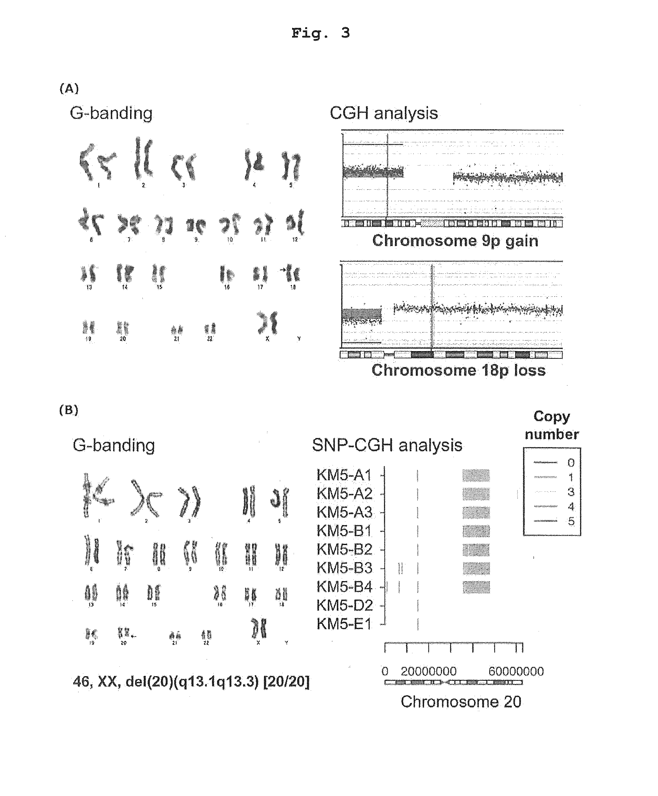 Method for screening drugs for treating/preventing myelodysplastic syndrome, etc.