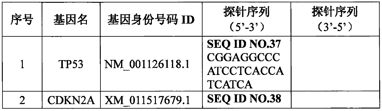 A panel of genes and their application for molecular typing of squamous cell carcinoma of the head and neck