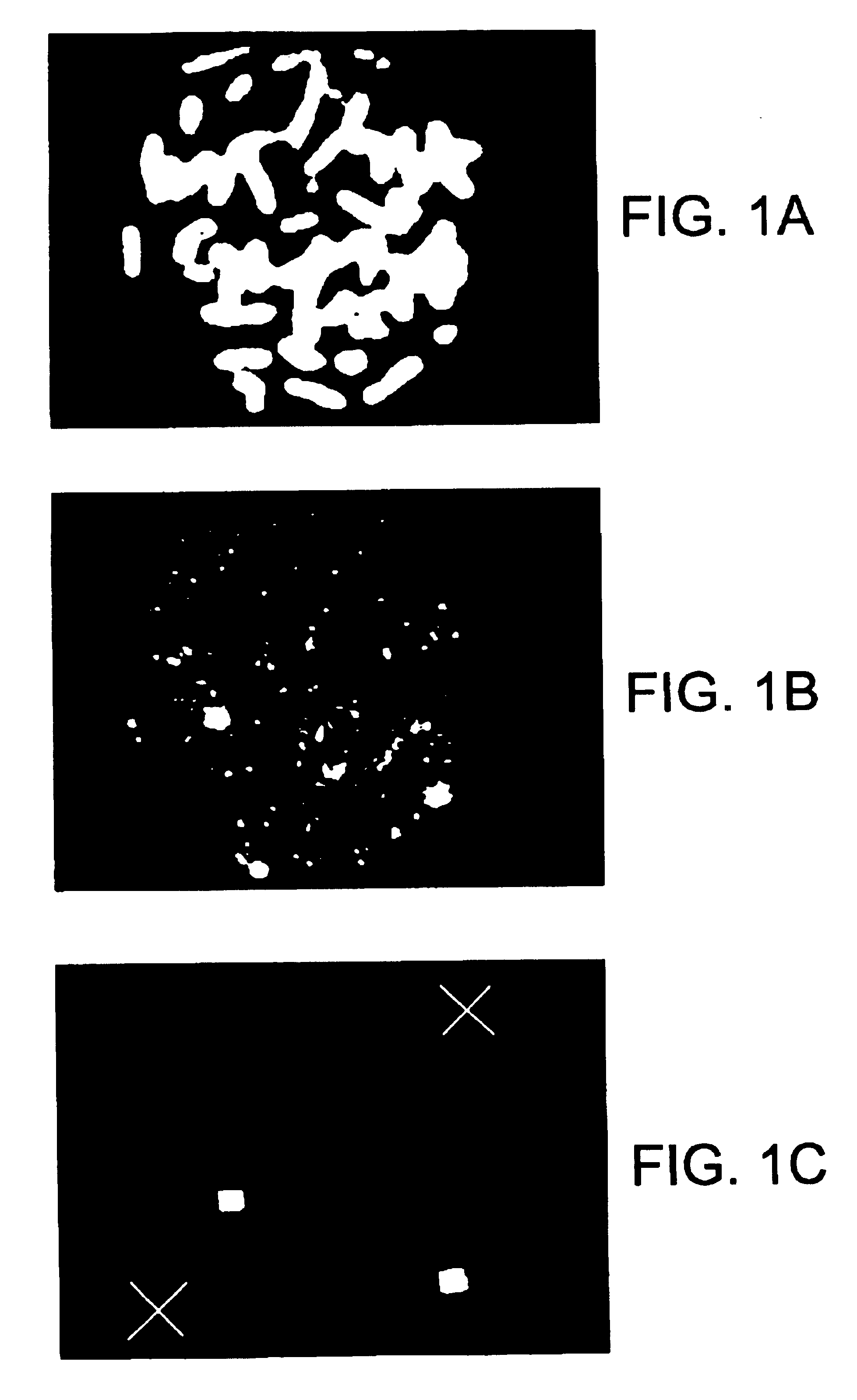 Chromosome-specific staining to detect genetic rearrangements