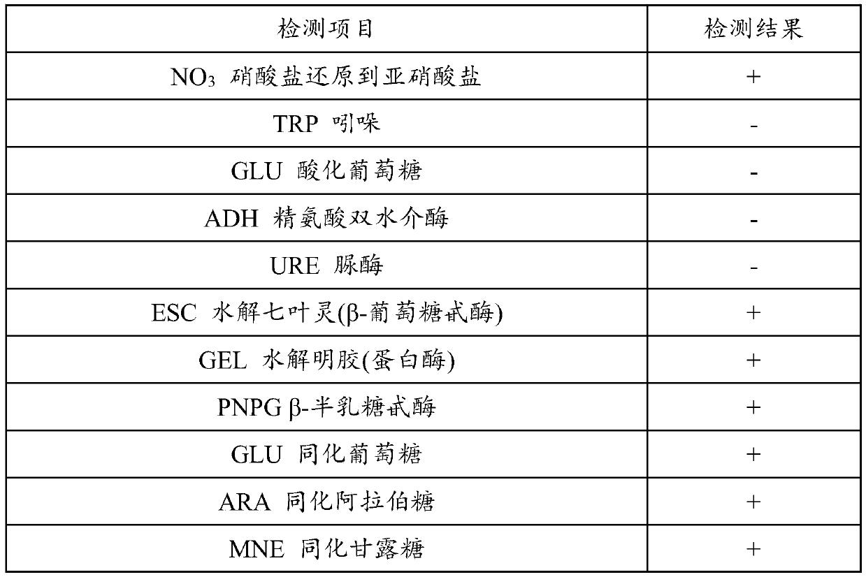 A strain of Paenibacillus cribs and its preparation and application