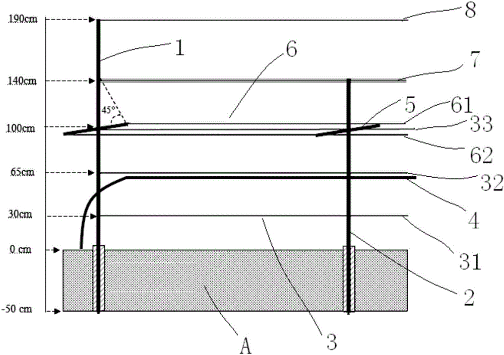 Row type pitaya cultivation frame and standardized pitaya cultivation method