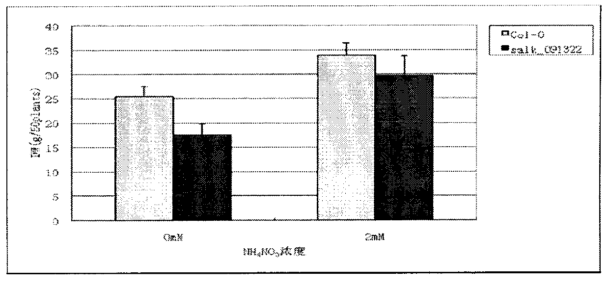 Arabidopis thaliana ammonium ion transporter gene AMT1.1 and coding protein and usage thereof