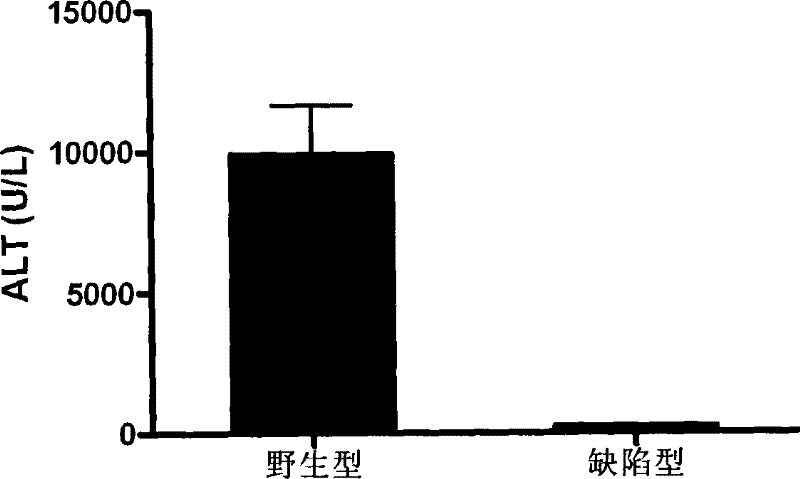 A drug target related to liver injury and its application