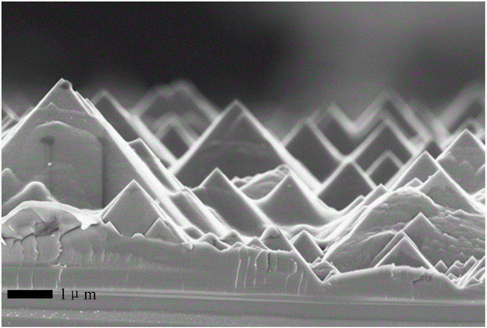 Transition metallic oxide-silicon heterojunction solar cell and preparation method thereof