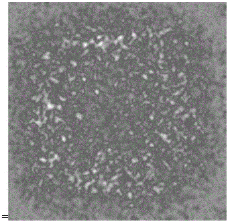 Large-area collimated light source