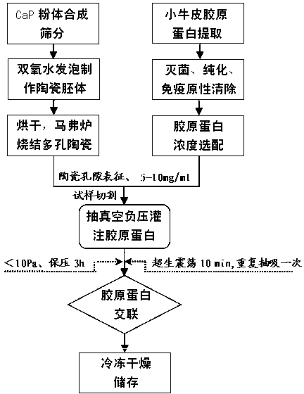 Calcium phosphate/collagen composite biologic ceramic material and preparation method thereof