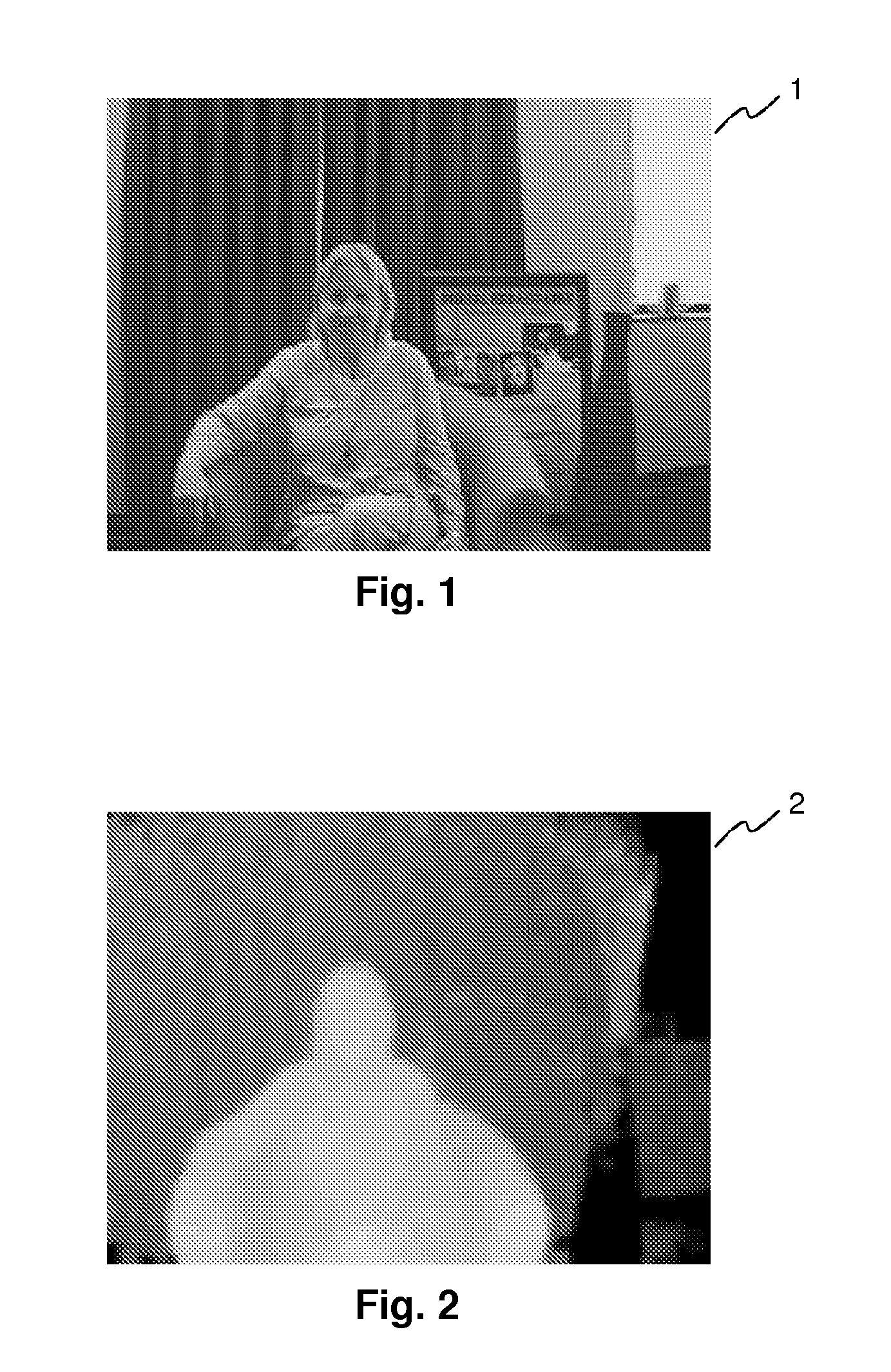 Method and apparatus for bi-layer segmentation