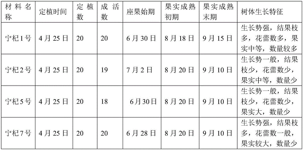 A kind of potted planting method of Ningxia wolfberry