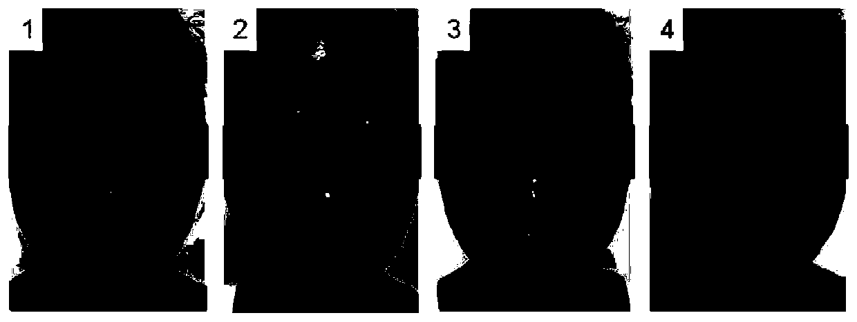 Nano invisible mask and manufacturing process thereof