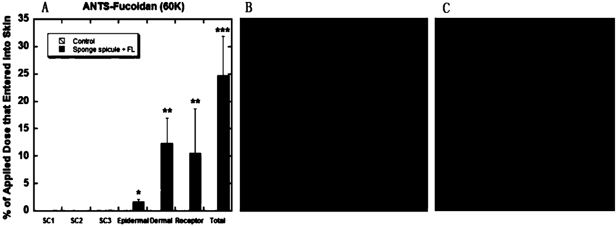 Transdermal absorption composition and application of same to preparation of transdermal absorption preparation