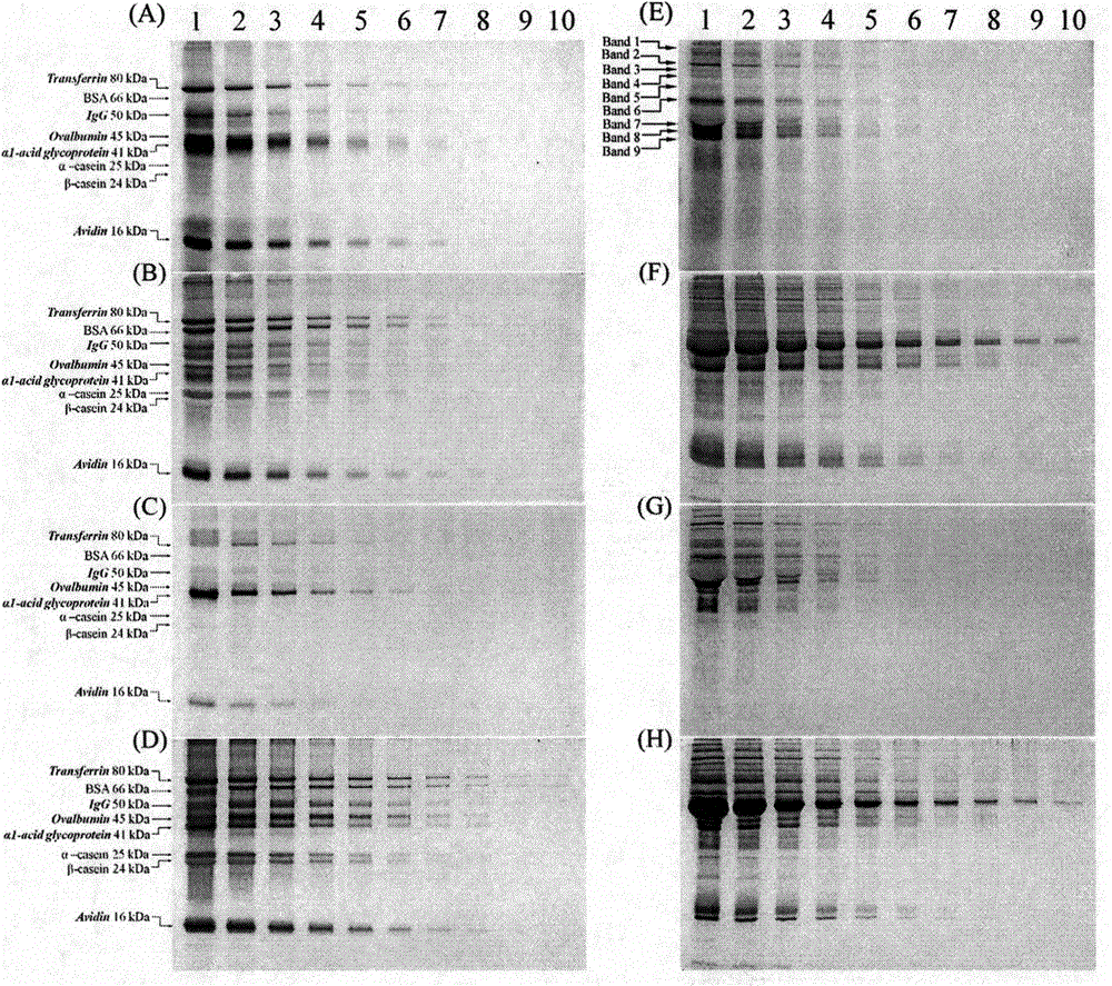 Applications of 4H-[1]-benzopyran[4,3-b]thiophene-2-carboxylic acid hydrazide and derivative thereof in specific fluorescent pre-dyeing detection method of glycoproteins