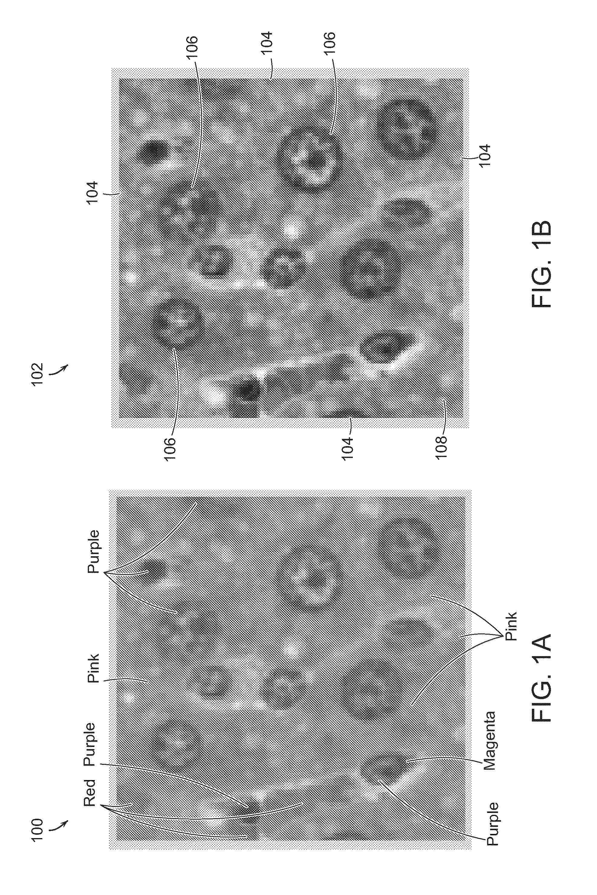 Systems and Methods for Object Identification