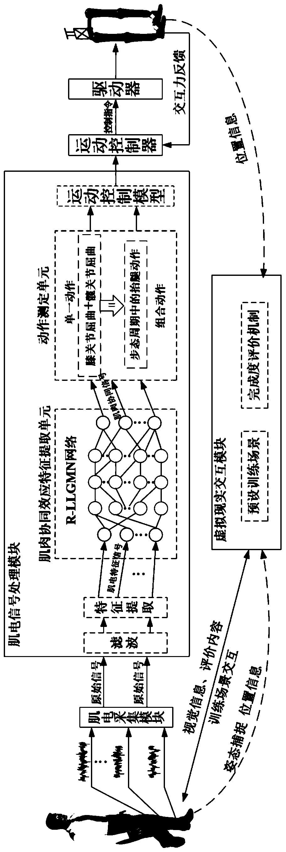 Multi-stage lower limb training system and method utilizing muscle synergistic effect