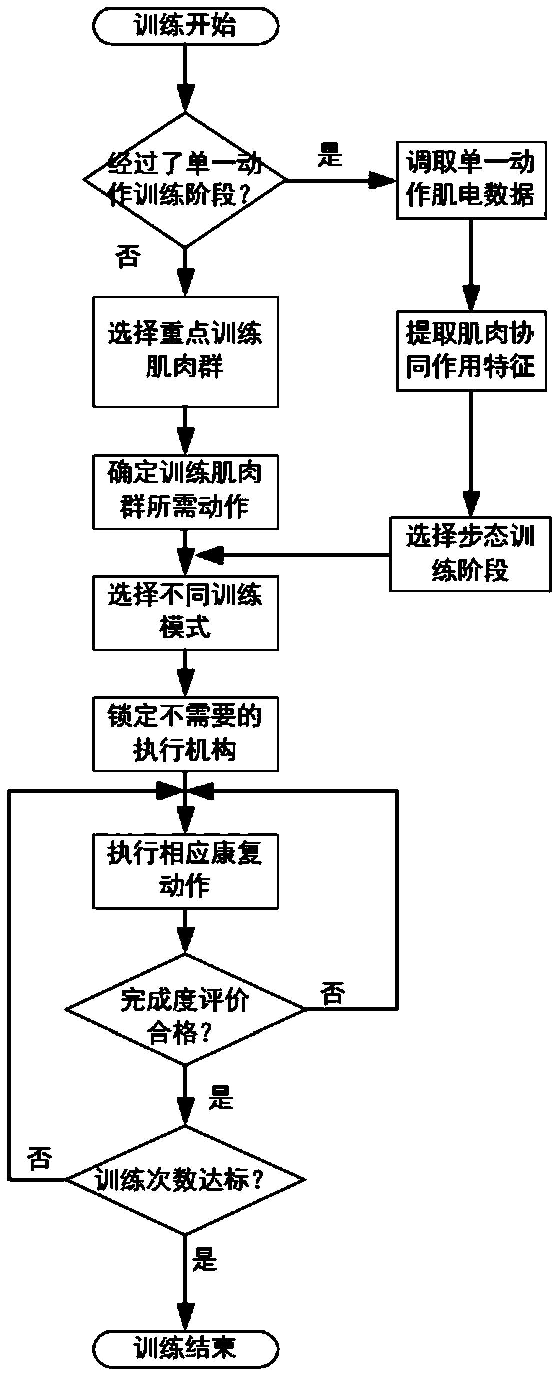 Multi-stage lower limb training system and method utilizing muscle synergistic effect