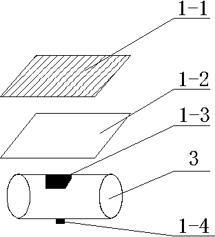 Inductive fishing rod