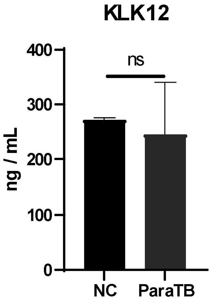 Bovine tuberculosis serological diagnostic marker and clinical application thereof