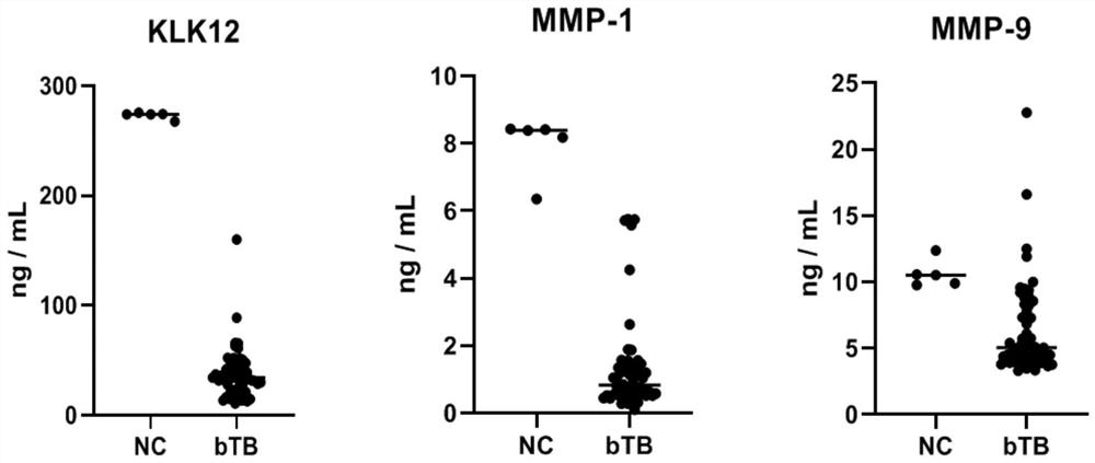 Bovine tuberculosis serological diagnostic marker and clinical application thereof