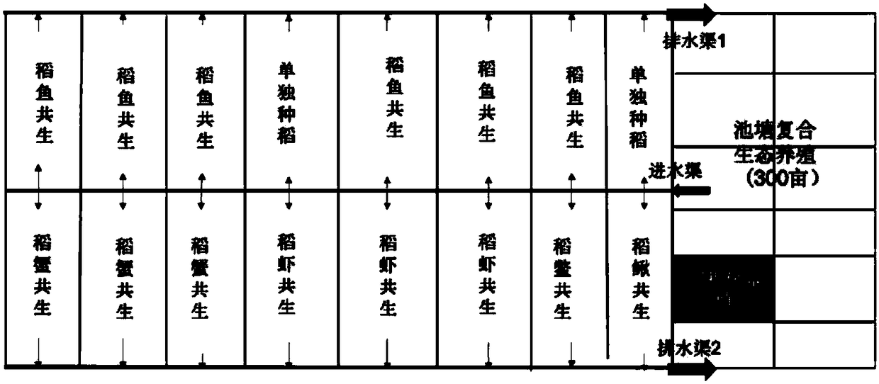 Rice-fish symbiosis-aquaculture coupled complex planting and breeding system and breeding method