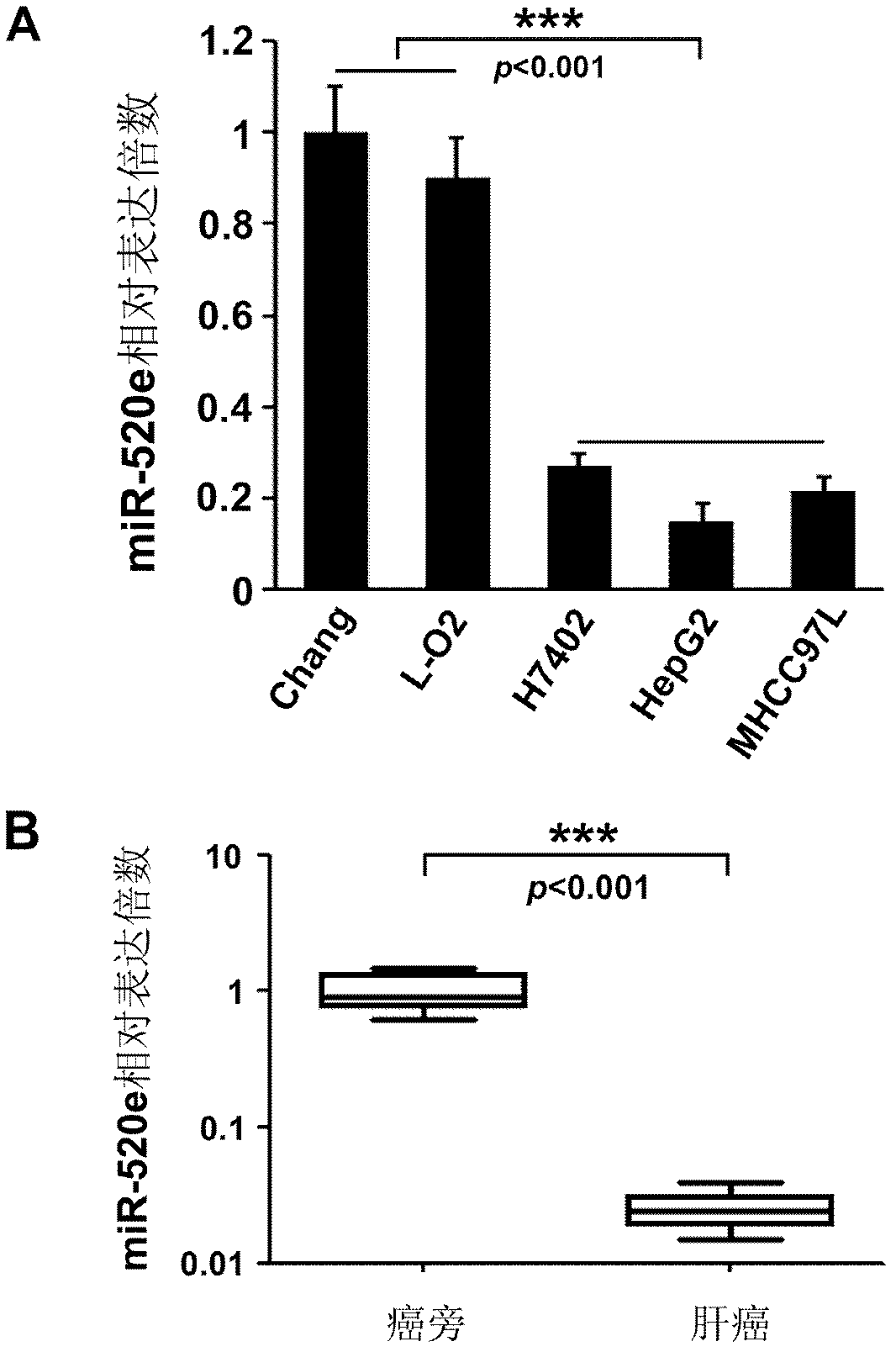 Antitumor application of has-miR-520e