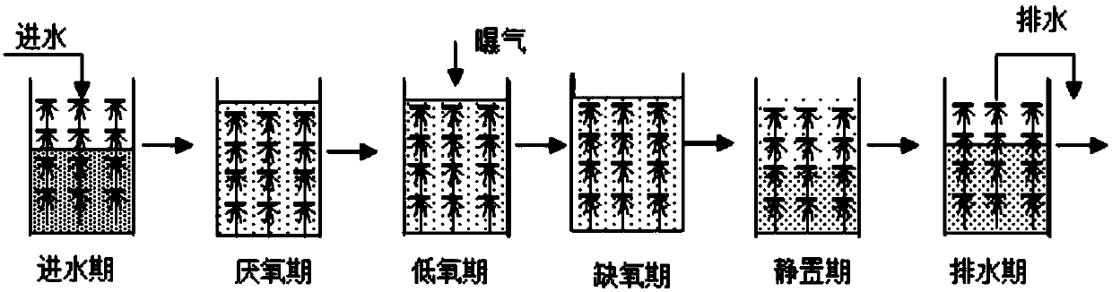 Deep nitrogen-and-phosphorus-removing technology based on SBBR