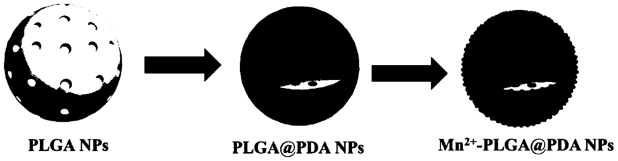 Mn&lt;2+&gt;-doped polydopamine nano-carrier and preparation method thereof
