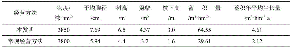 Phoebe chekiangensis young growth cultivation method