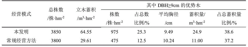 Phoebe chekiangensis young growth cultivation method