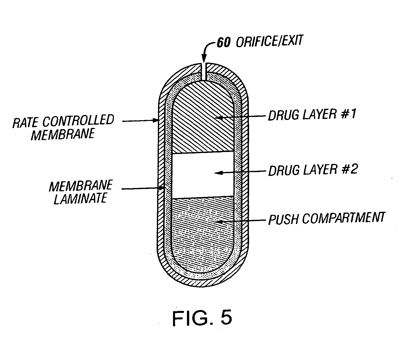 Novel drug compositions and dosage forms of topiramate