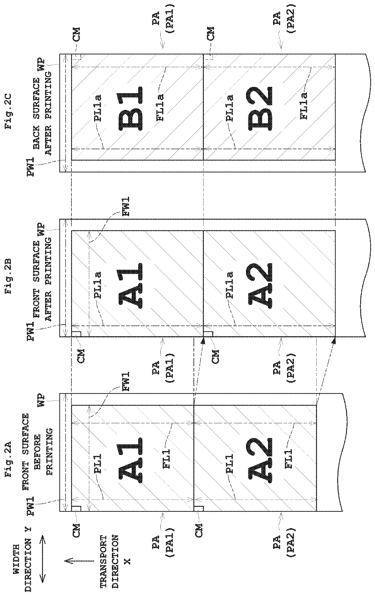 Printing apparatus