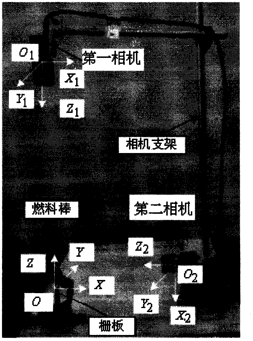 Automatic recognition device for position and posture of nuclear fuel rod