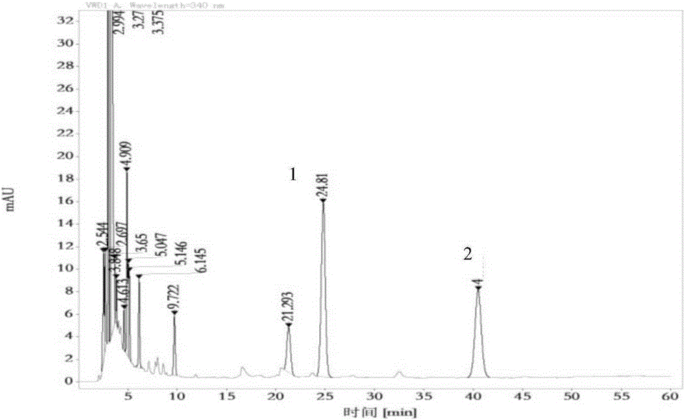 Preparation method of senna leaf processed product