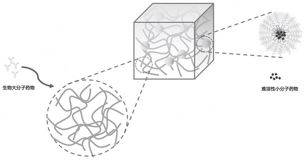 A kind of in-situ hydrogel composition using nano micelles as cross-linking agent and its application