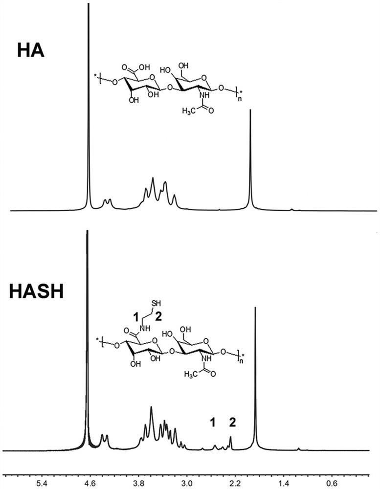 A kind of in-situ hydrogel composition using nano micelles as cross-linking agent and its application