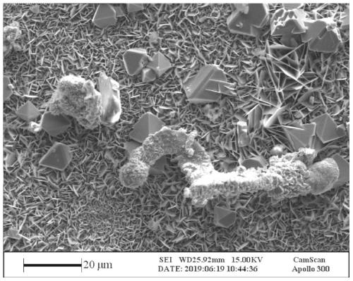 Method and acceleration method for coating micron-sized material with chromium oxide coating by using segregation and adhesion precipitated by chromium oxide