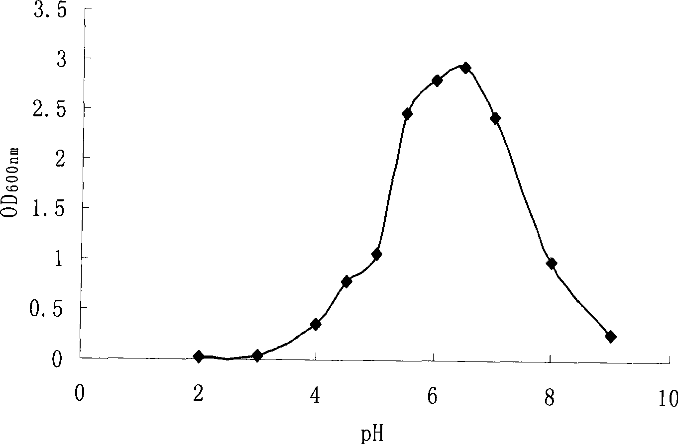 Lactobacillus casei capable of reducing beta-lactoglobulin antigen antigenicity in cow's milk and use thereof