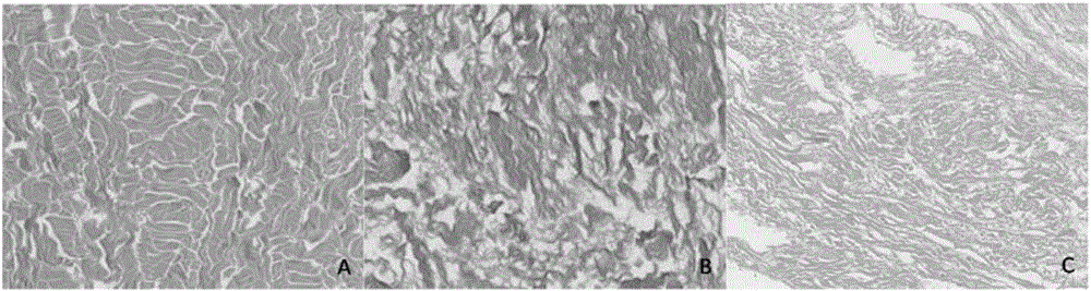 Method for simultaneously treating multiple kinds of biological tissue