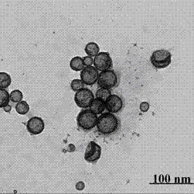 PtNi alloy/graphene combined nanometer catalyst with hollow structure and preparation method thereof