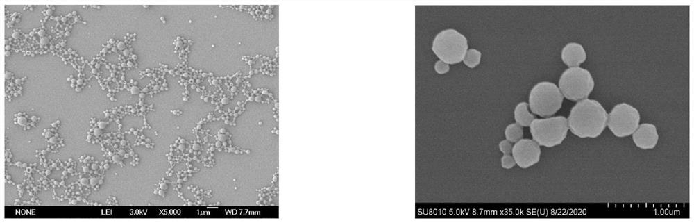 A kind of preparation method of double-loaded pesticide nano-microcapsule suspension