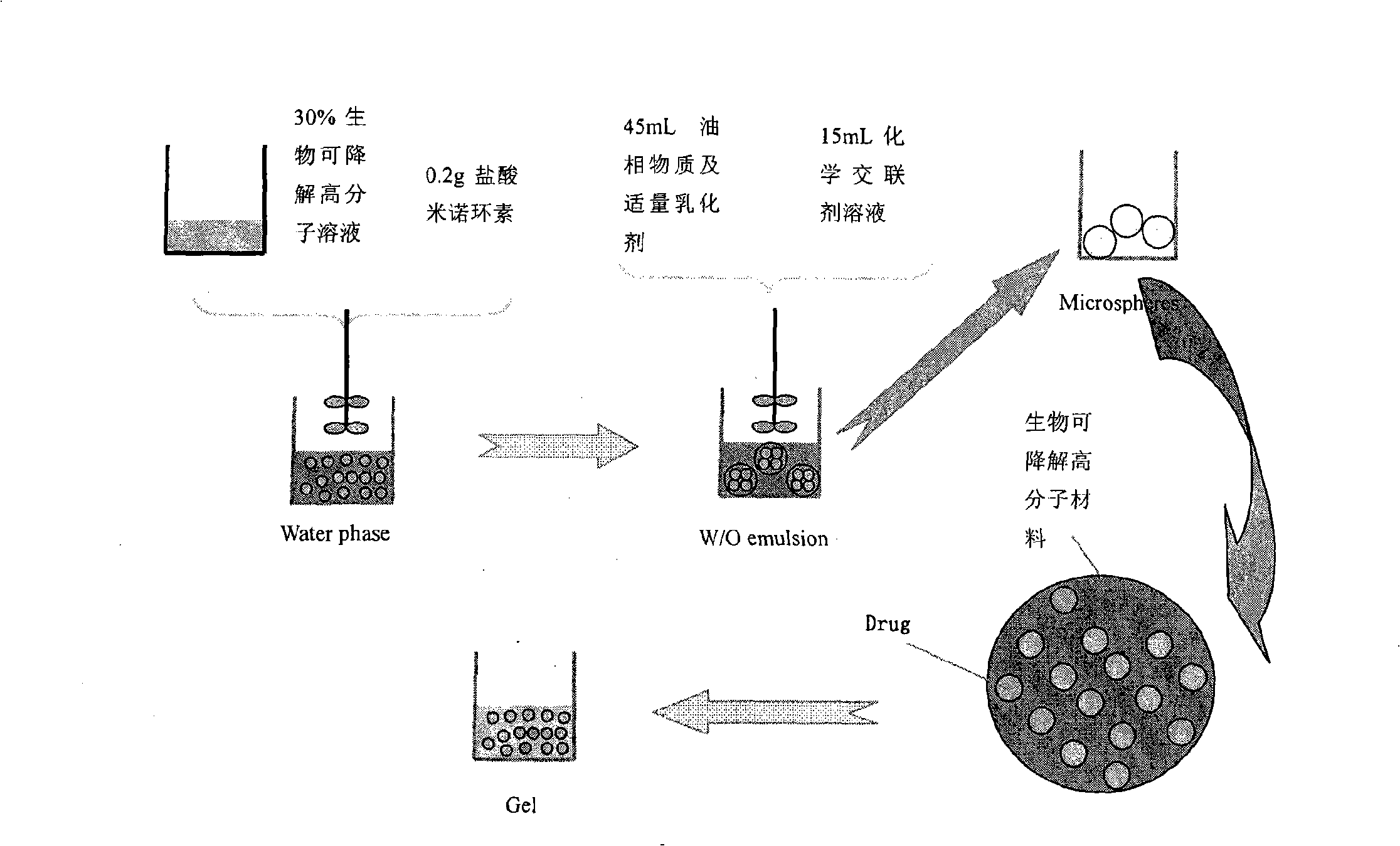 Minocycline hydrochloride microballoons and preparation method and application in pharmacy thereof