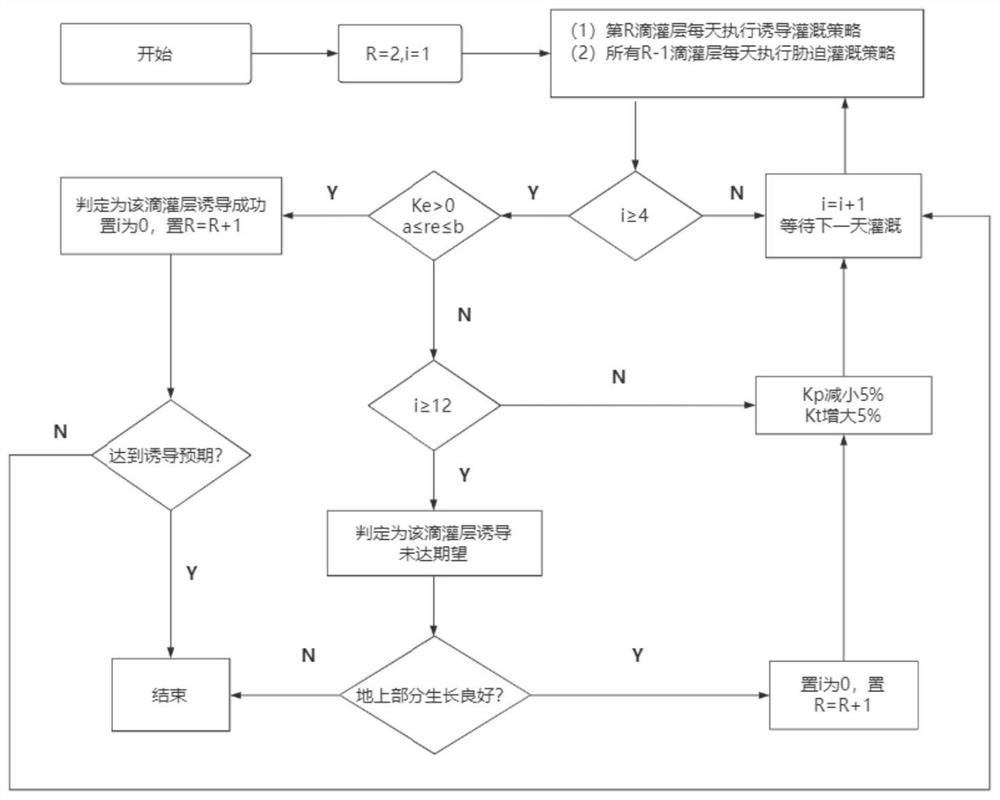 Irrigation method for inducing downward growth of root system based on wet point duration deviation