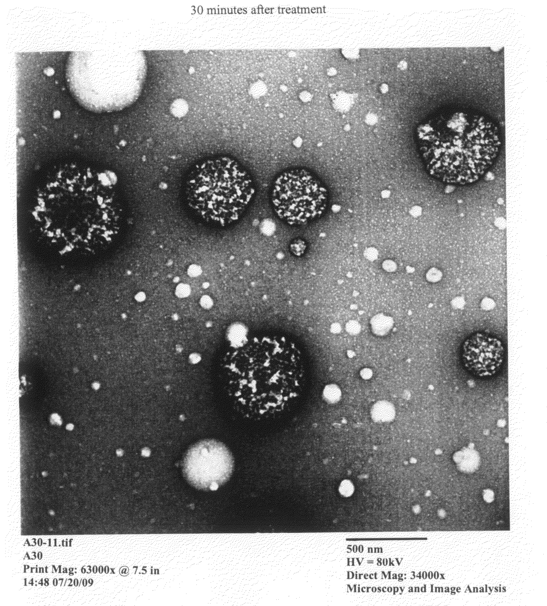 Nanoemulsion therapeutic compositions and methods of using the same