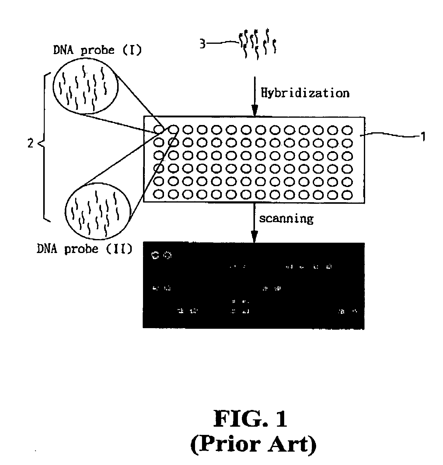 CCD-based biochip reader