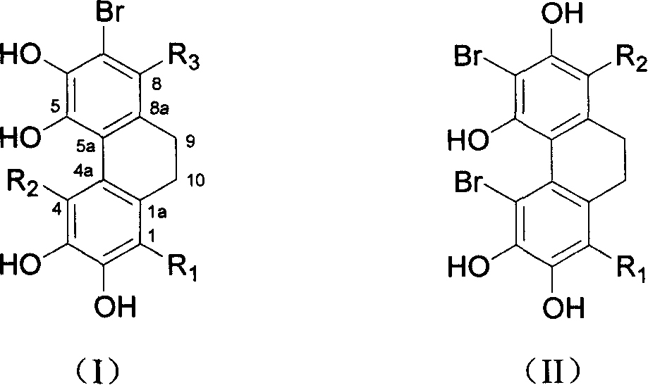 Polysiphonia urceolata bromophenol compound as well as preparation method and application thereof