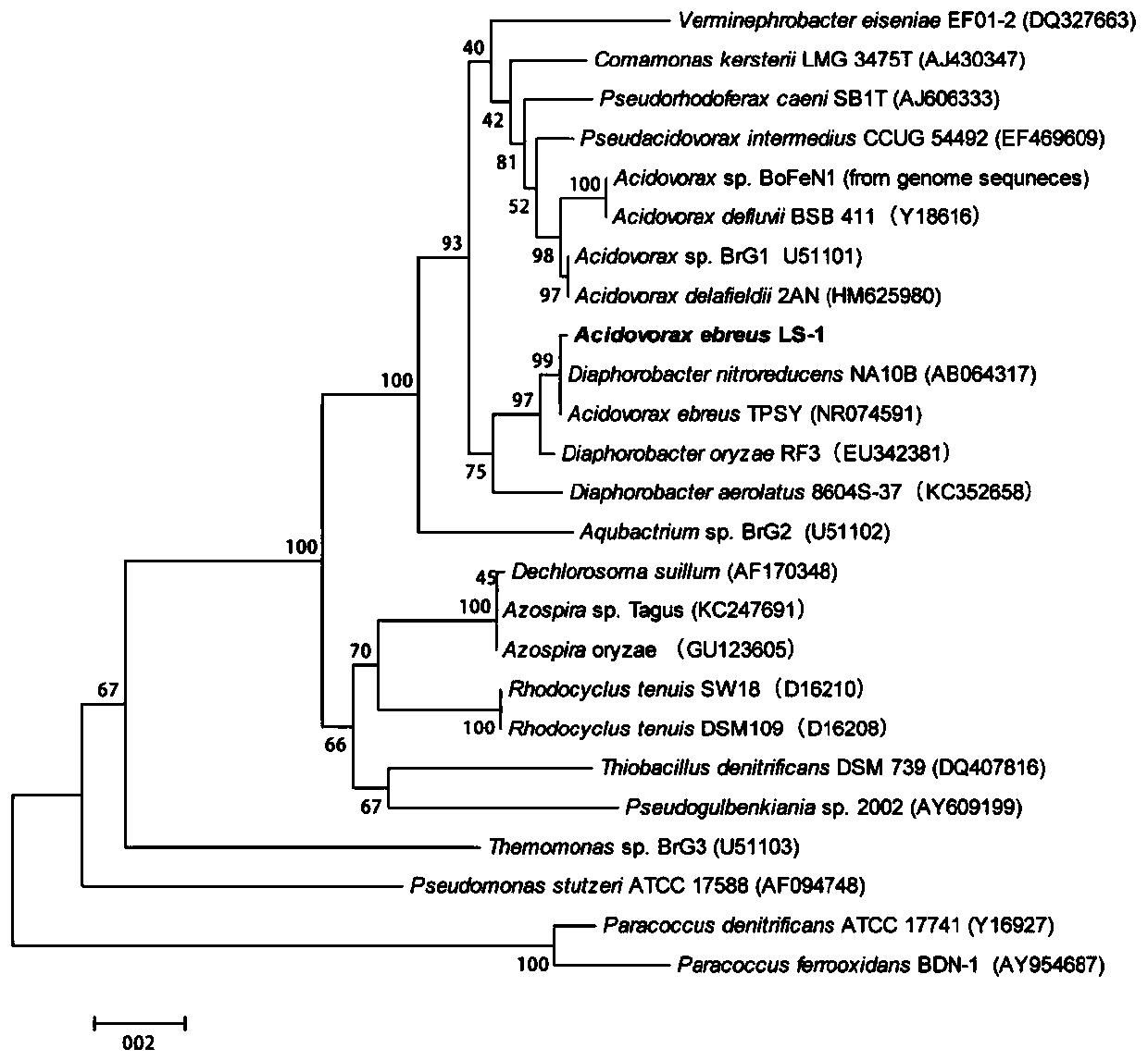 New application of Acidovorax LS-1, and kit for repairing arsenic pollution, and applications thereof