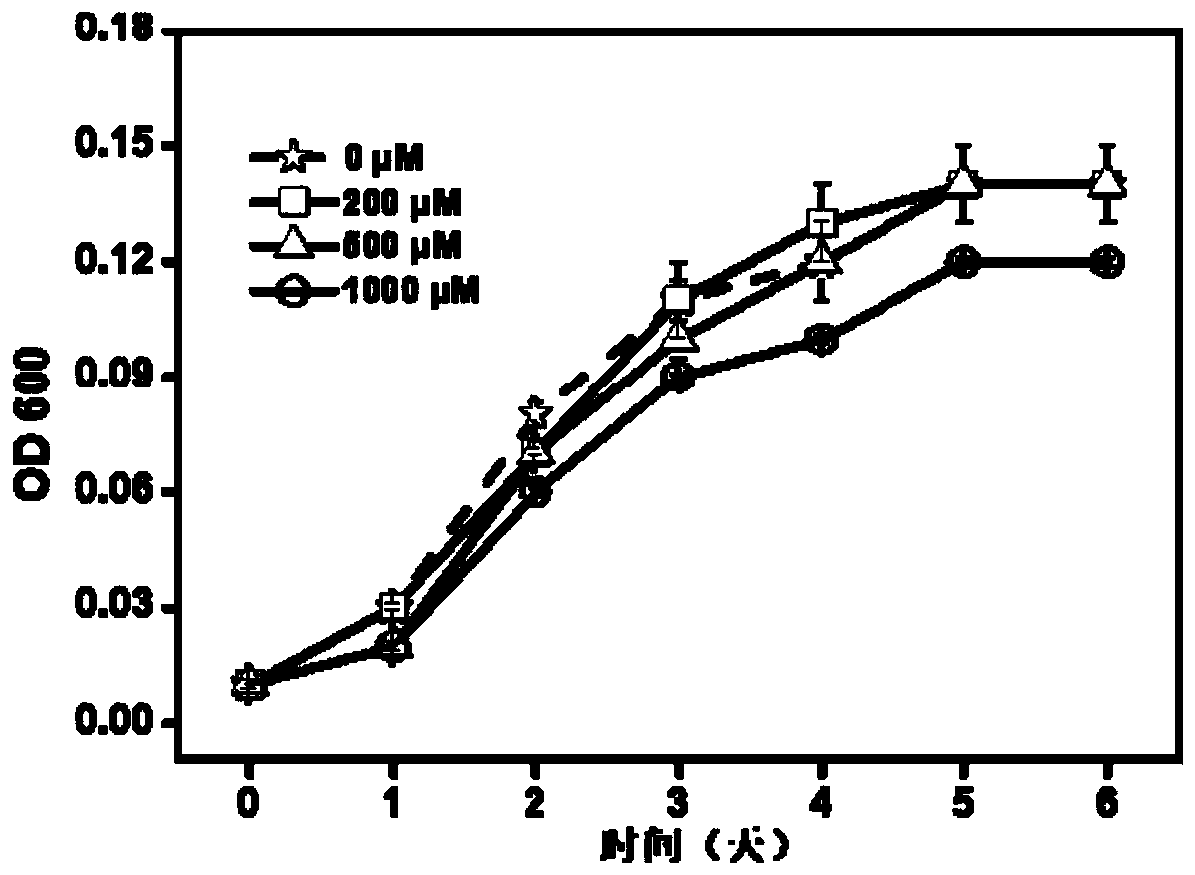 New application of Acidovorax LS-1, and kit for repairing arsenic pollution, and applications thereof