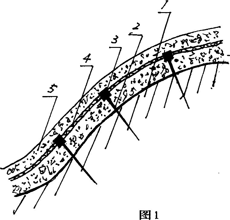 Method of utilizing plant straw to green rocky side slope