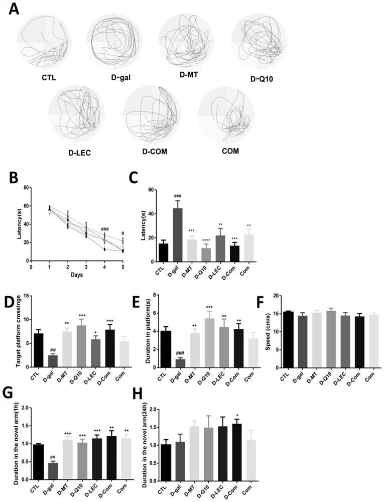 Bioactive composition for preventing and/or treating Alzheimer disease and application thereof