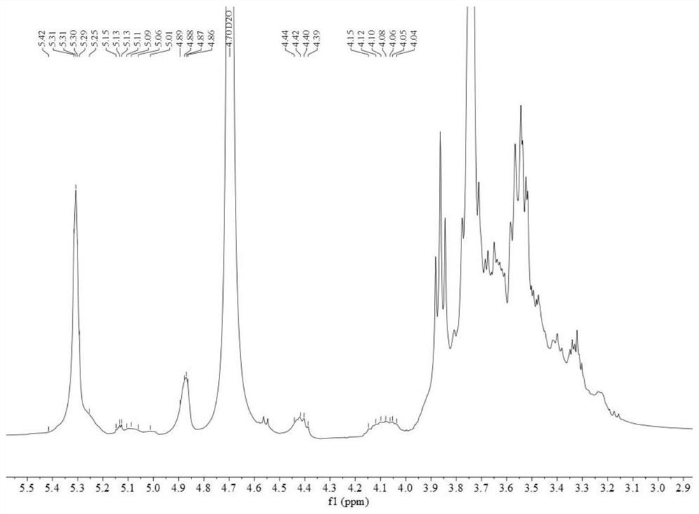 Atractylodes polysaccharide anti-alcoholic liver injury and its preparation method and application