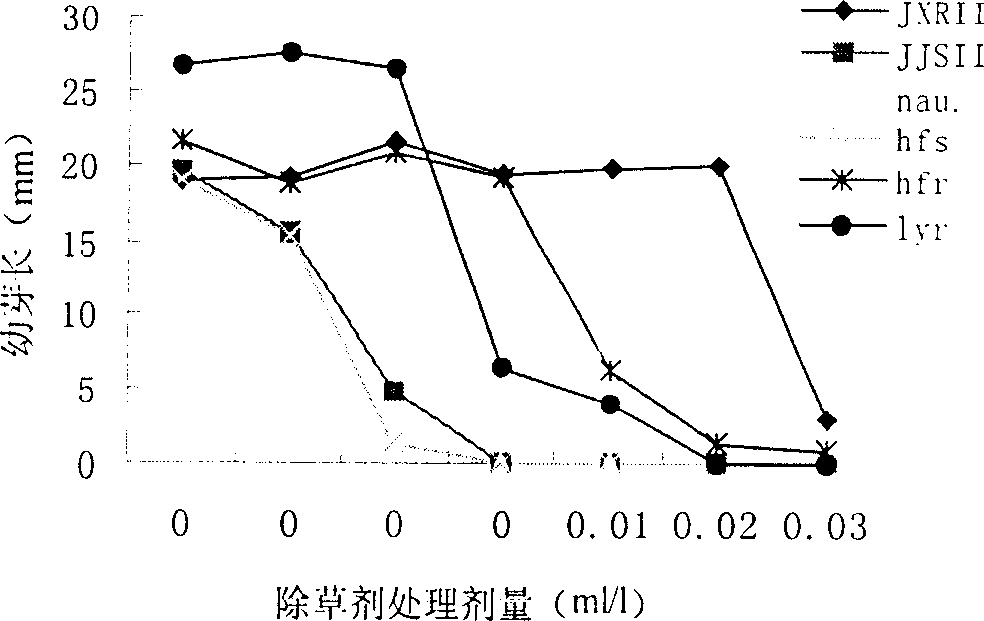 Method for identifying pesticide resistance of dentes foxtail to sethoxydim